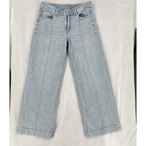 American Eagle Jeans Womens 4 Blue Low Rise Baggy Wide Leg Boho